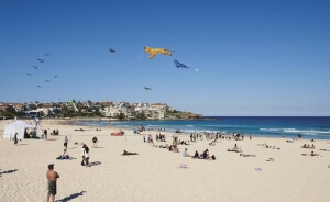 removalists bondi Beach