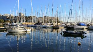 Removalists Rushcutters Bay