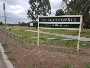 removalists Whalan