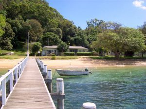 Removalists Currawong Beach
