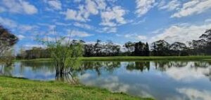 Removalists Central Mangrove