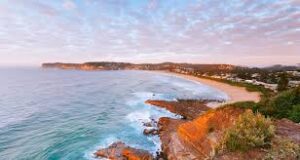 Removalists North Avoca